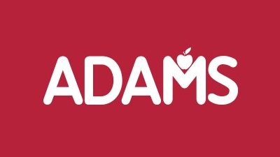 logo adams rimeca systems